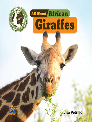 cover image of All About African Giraffes